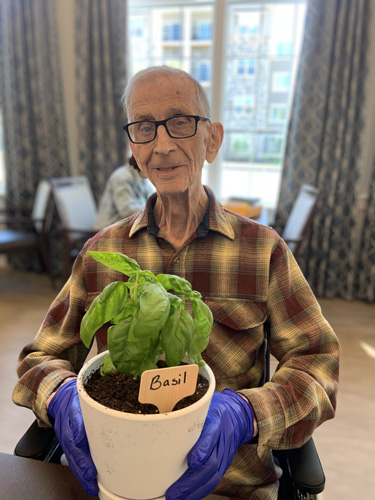 Elderly man wearing a plaid shirt and blue gloves, holding a potted basil plant and smiling in a well-lit room.